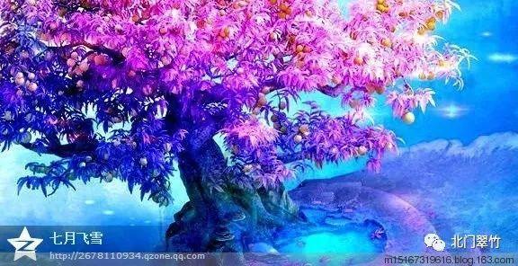 塞尔达荒野之息